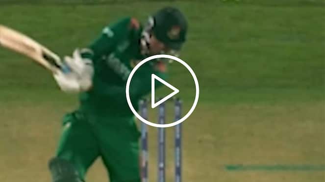 [Watch] Taskin Ahmed's Lucky Escape After Getting Bowled In A Bizarre World Cup Moment
